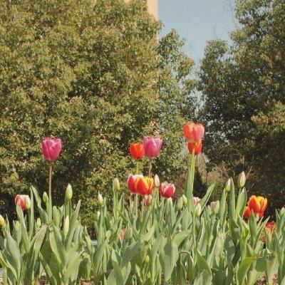 中欧·体育(KOK)截图