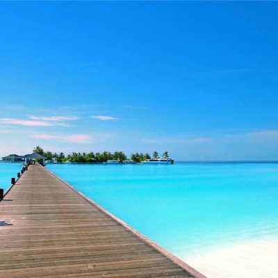 大发国际手机app下载