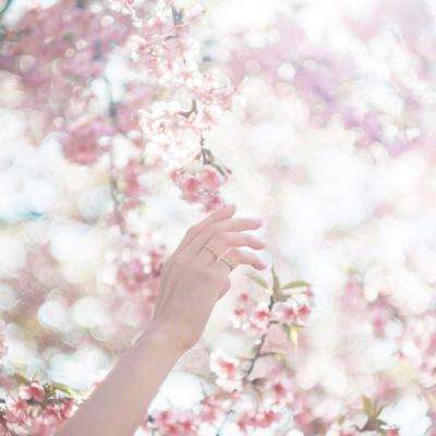 365体育官网入口