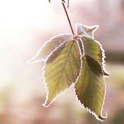 狗万manbet下载手机版